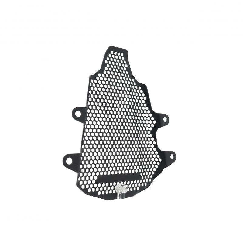 Ducati Panigale V4 R 2021+ Staffe Rimozione Pedane