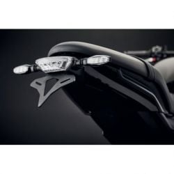 Triumph Trident 2021+ Porta Targa