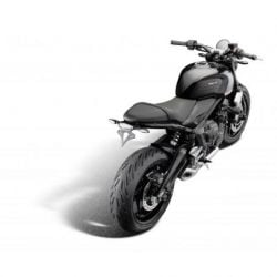 Triumph Trident 2021+ Porta Targa