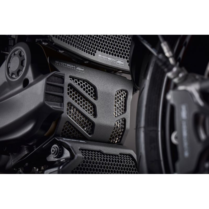 Ducati Hypermotard 950 RVE 2020+ Protezione Motore