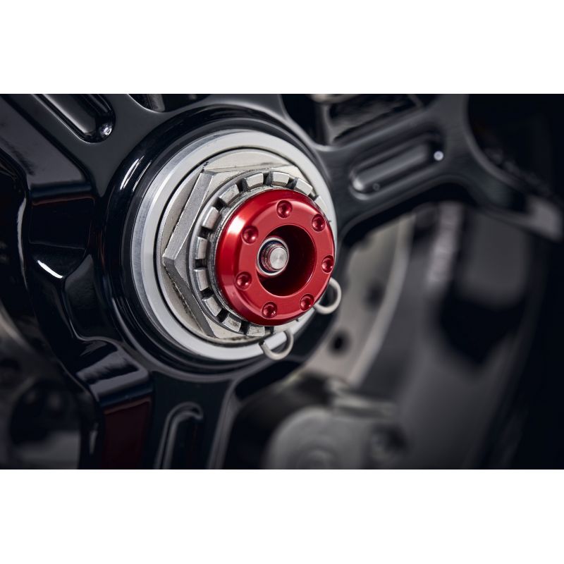 PRN013096-20 Protecciones del basculante trasero Ducati Hypermotard 950 RVE 2020+ Evotech-performanc