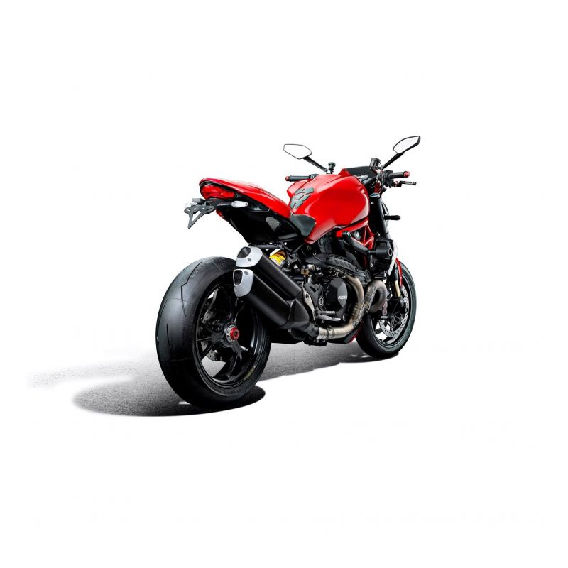 Ducati Monster 1200 25 Anniversario 2020+ Protezioni Forcellone posteriore