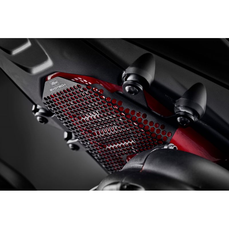 Ducati Streetfighter V4 2020+ Staffe Rimozione Pedane