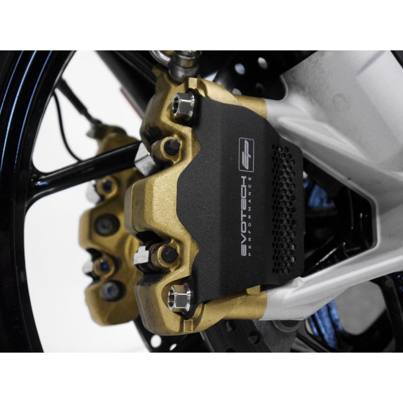 BMW R 1250 GS Rallye TE 2019+ Protezione Pinza Freno