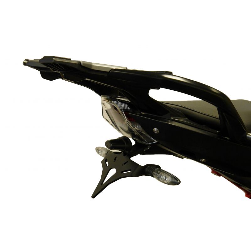 BMW R 1250 R Exclusive 2019+ Porta Targa