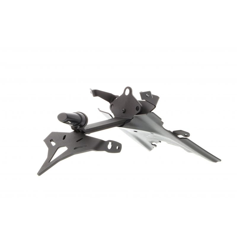 BMW R 1250 R Exclusive 2019+ Porta Targa