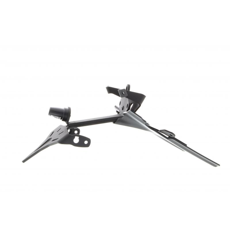 BMW R 1250 R Exclusive 2019+ Porta Targa