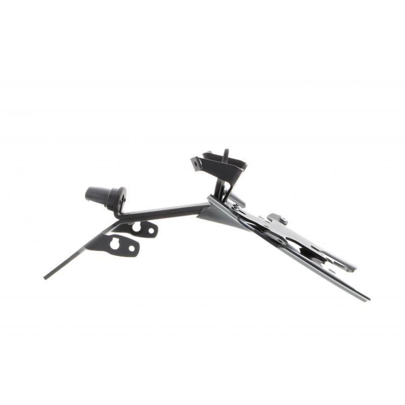 BMW R 1250 R Exclusive 2019+ Porta Targa