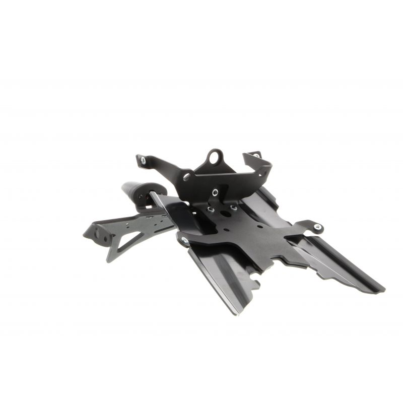 BMW R 1250 R Exclusive 2019+ Porta Targa