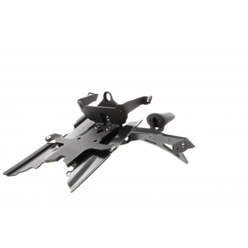 BMW R 1250 R Exclusive 2019+ Porta Targa