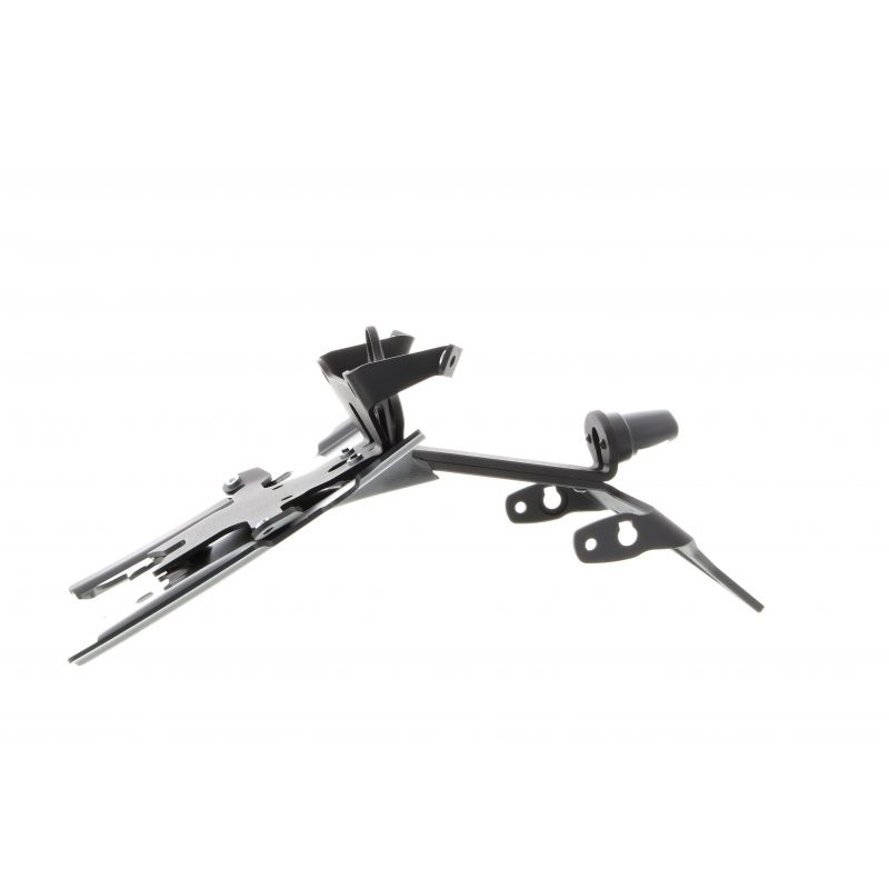 BMW R 1250 R Exclusive 2019+ Porta Targa