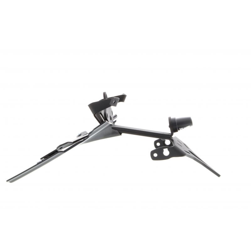 BMW R 1250 R Exclusive 2019+ Porta Targa