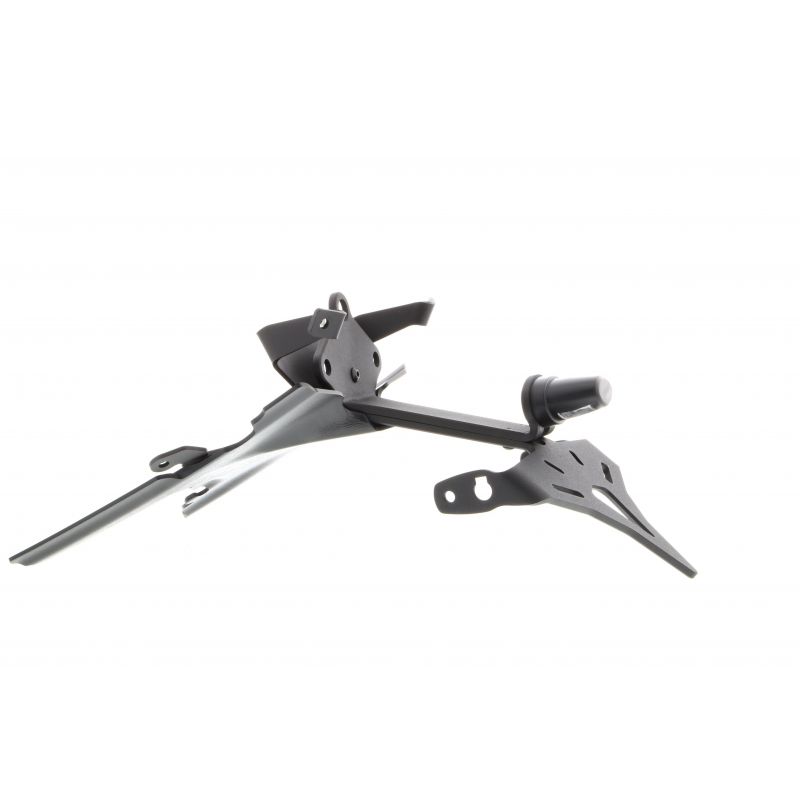 BMW R 1250 R Exclusive 2019+ Porta Targa