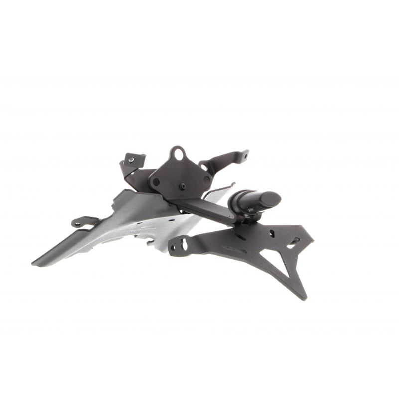 BMW R 1250 R Exclusive 2019+ Porta Targa