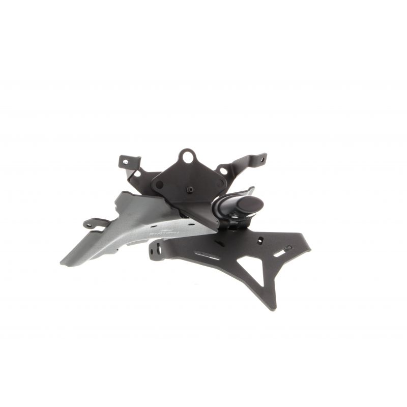 BMW R 1250 R Exclusive 2019+ Porta Targa