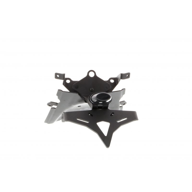 BMW R 1250 R Exclusive 2019+ Porta Targa