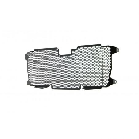 BMW R 1250 R Exclusive 2019+ Griglia Radiatore