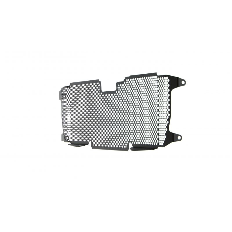 BMW R 1250 R Exclusive 2019+ Griglia Radiatore