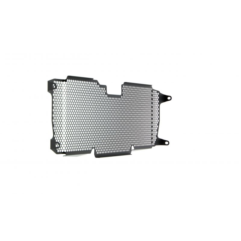 BMW R 1250 R Exclusive 2019+ Griglia Radiatore