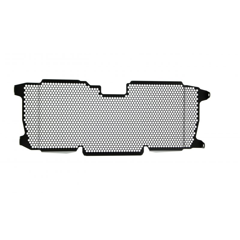 BMW R 1250 R Exclusive 2019+ Griglia Radiatore