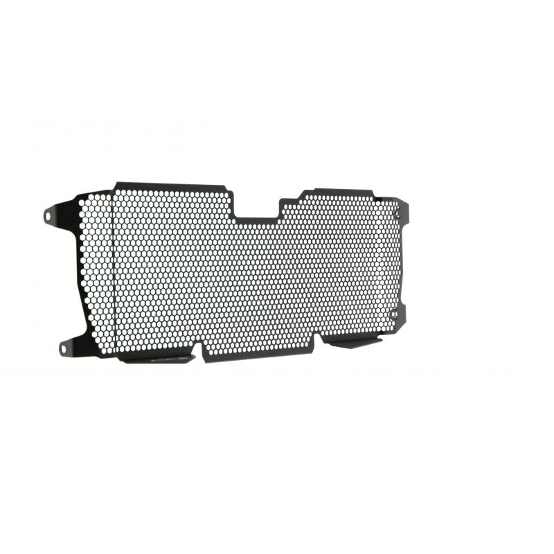 BMW R 1250 R Exclusive 2019+ Griglia Radiatore