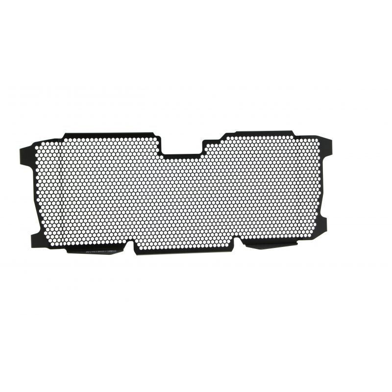 BMW R 1250 R Exclusive 2019+ Griglia Radiatore