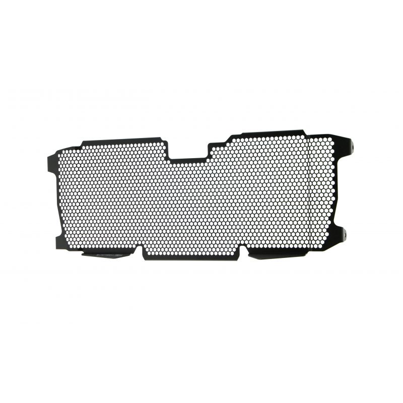 BMW R 1250 R Exclusive 2019+ Griglia Radiatore