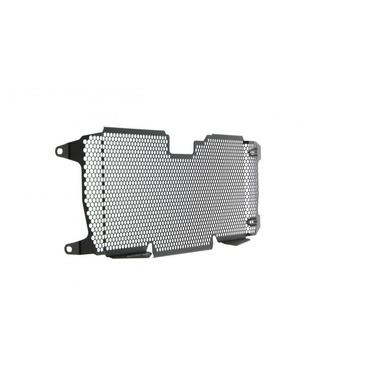 BMW R 1250 RS 2019+ Griglia Radiatore