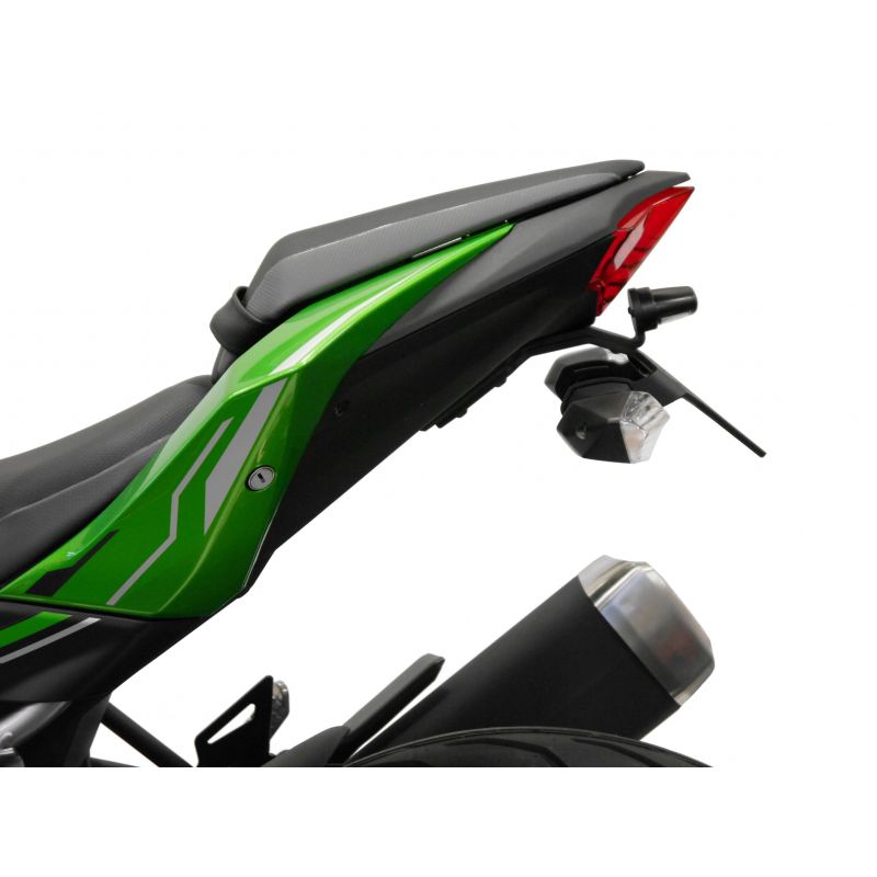 Kawasaki Ninja 125 Performance 2019+ Porta Targa