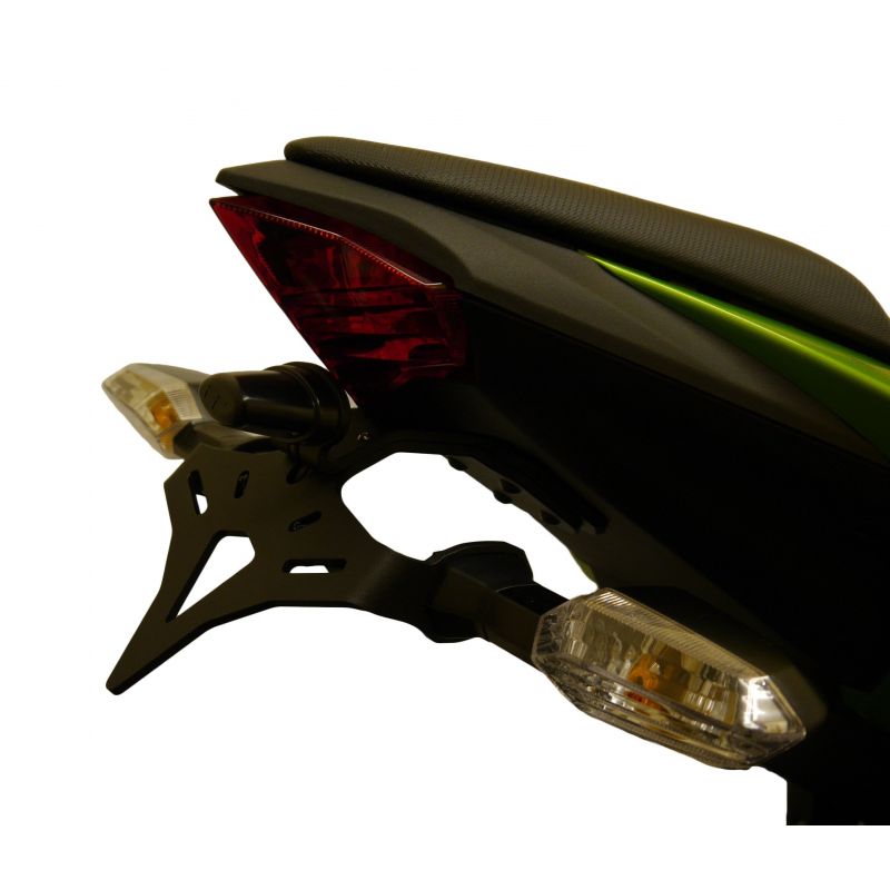 Kawasaki Ninja 125 2019+ Porta Targa