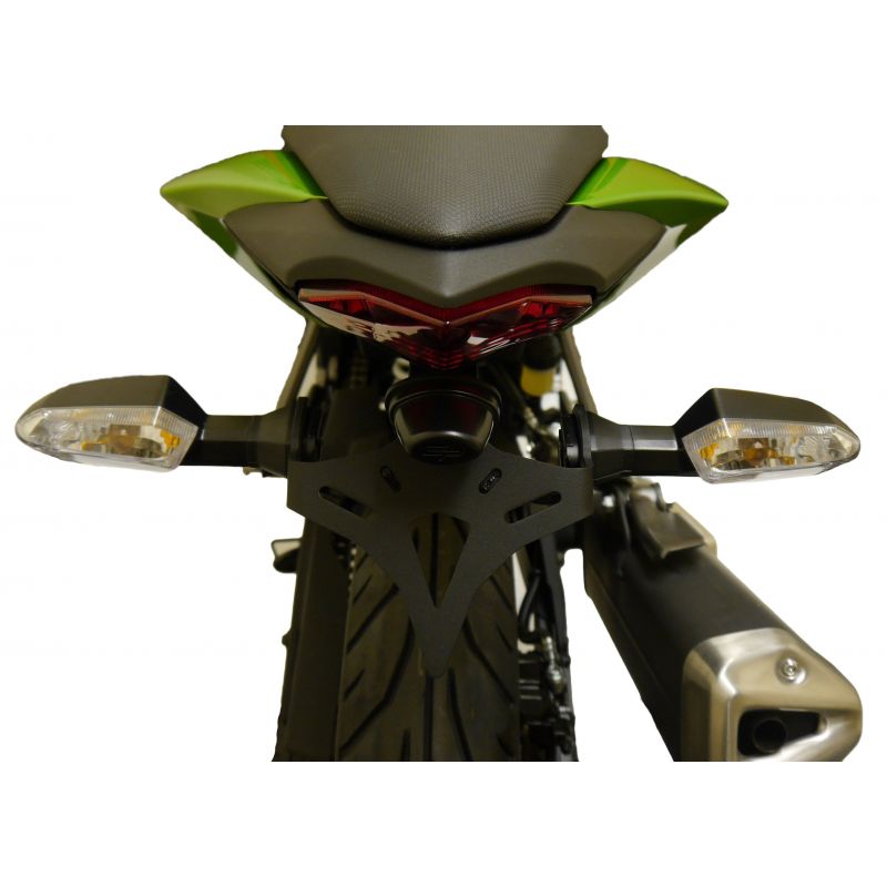 Kawasaki Ninja 125 2019+ Porta Targa
