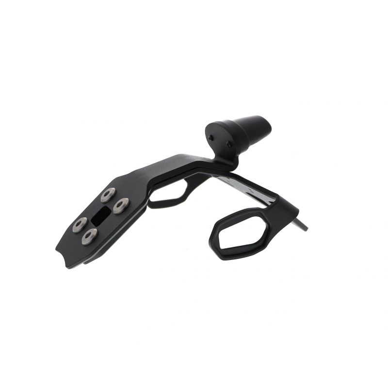 Kawasaki Ninja 125 2019+ Porta Targa