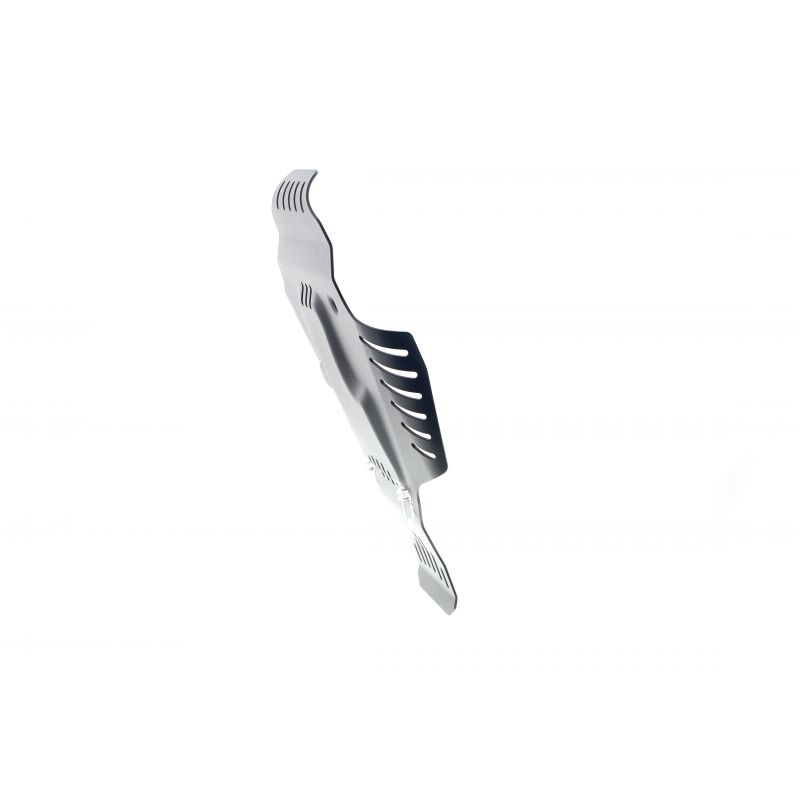 BMW R nineT Scrambler 2017+ Protezione Motore