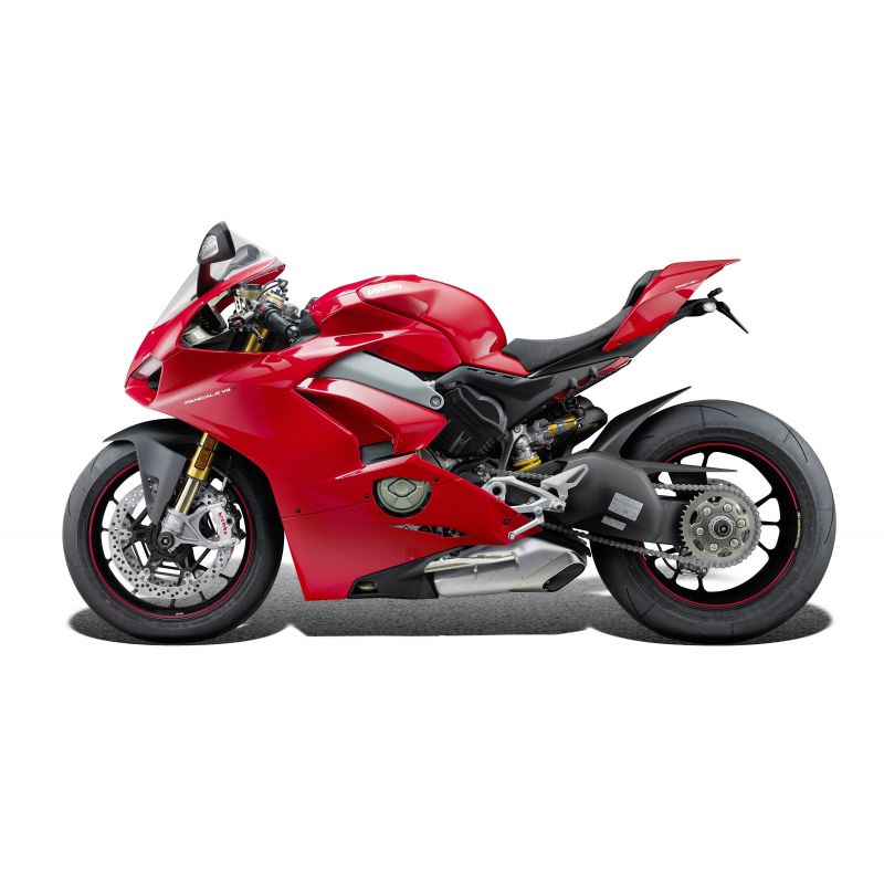 Ducati Panigale V4 S Corse 2019+ Protezioni Forcellone posteriore