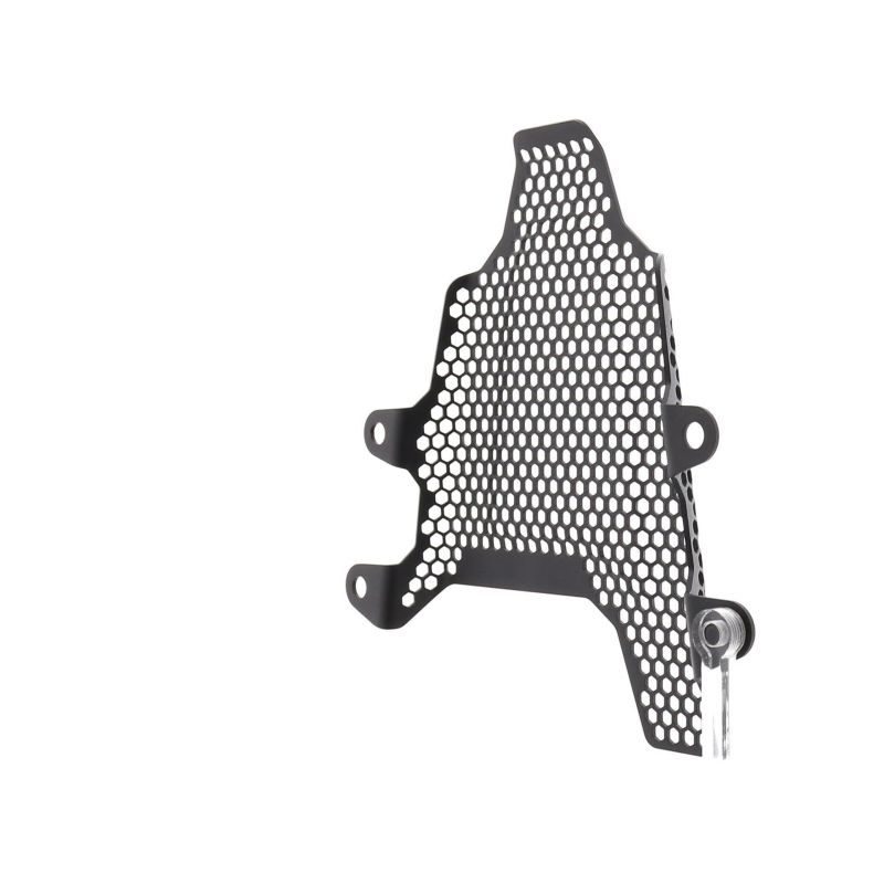 Ducati Panigale V4 S Corse 2019+ Staffe Rimozione Pedane