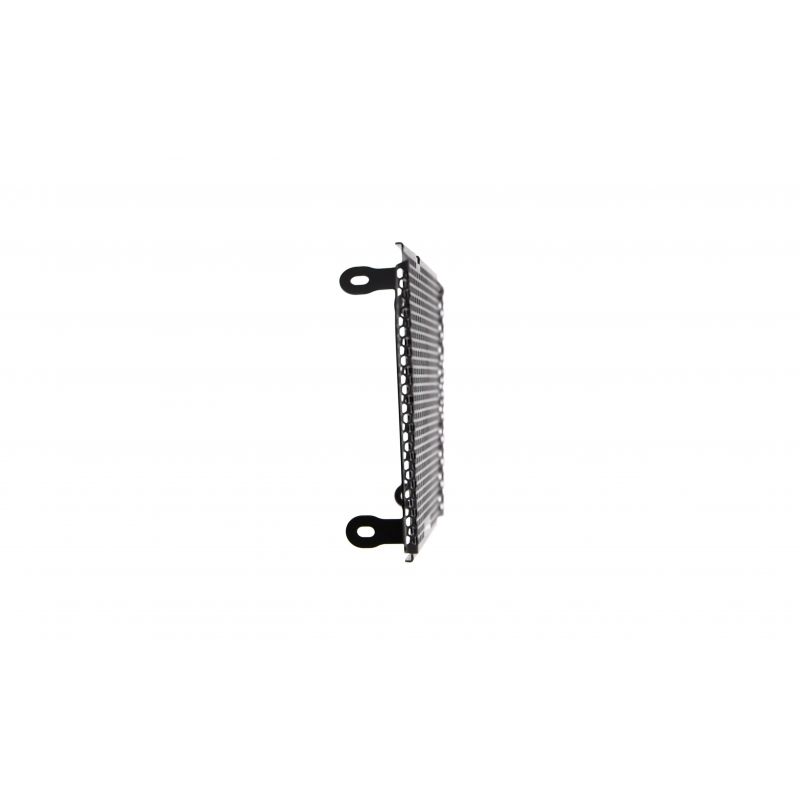 Aprilia Shiver 900 2018+ Griglia Radiatore