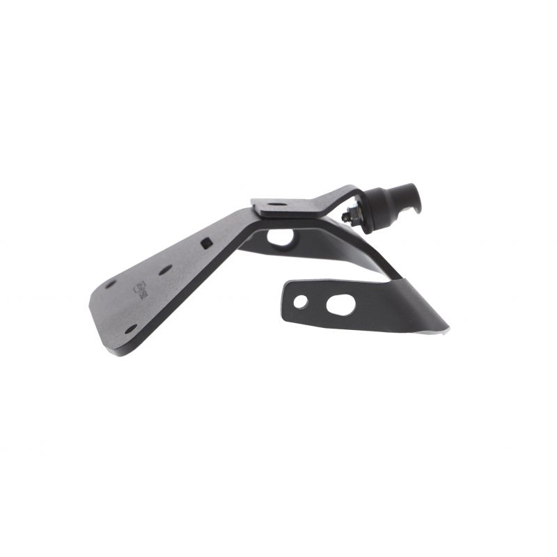 Aprilia Tuono 125 2018+ Porta Targa