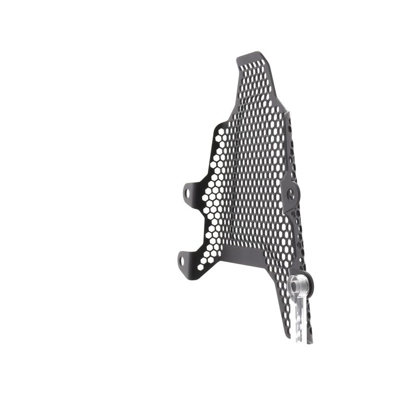 Ducati Panigale V4 Speciale 2018+ Staffe Rimozione Pedane