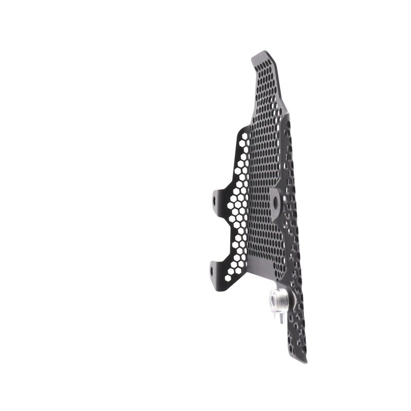 Ducati Panigale V4 S 2018+ Staffe Rimozione Pedane