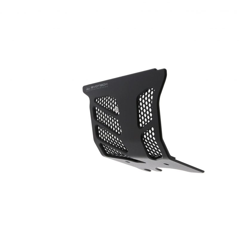 Ducati Hypermotard 939 SP 2016+ Protezione Motore