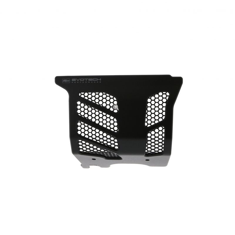 Ducati Hypermotard 939 SP 2016+ Protezione Motore