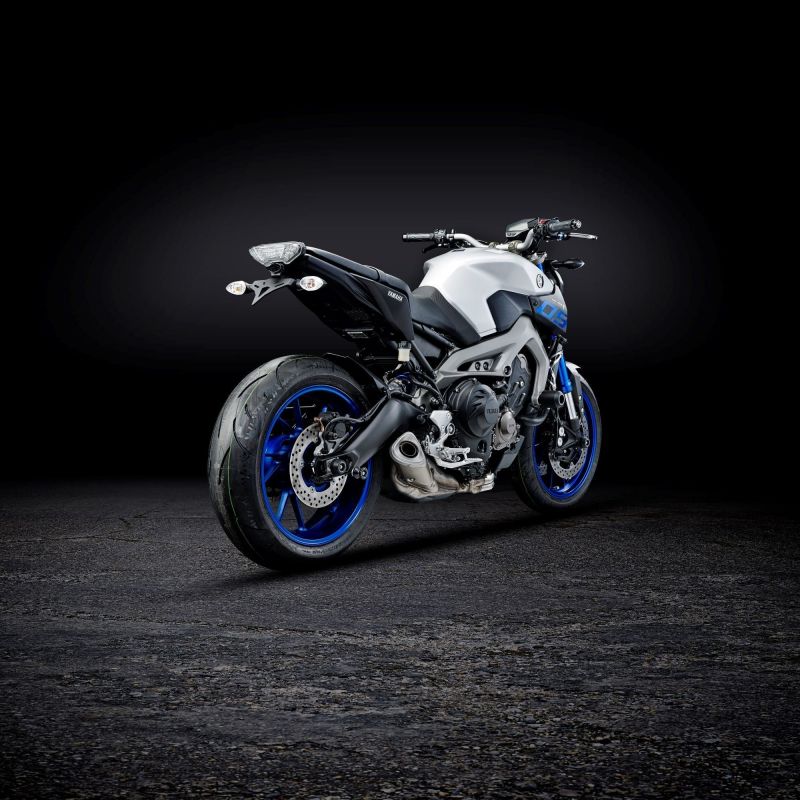 Yamaha MT-09 2013+ Porta Targa
