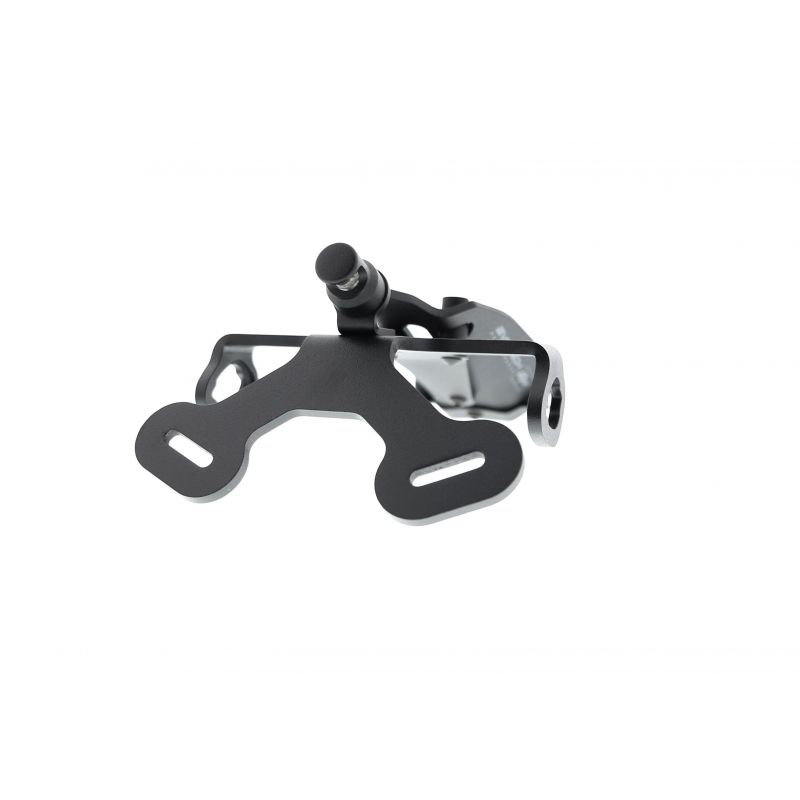 Ducati Panigale 1299 2015+ Porta Targa