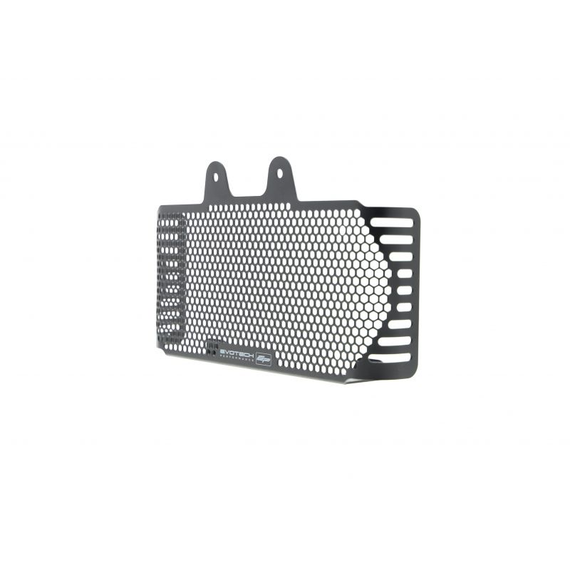 BMW R nineT 2017+ Griglia Radiatore