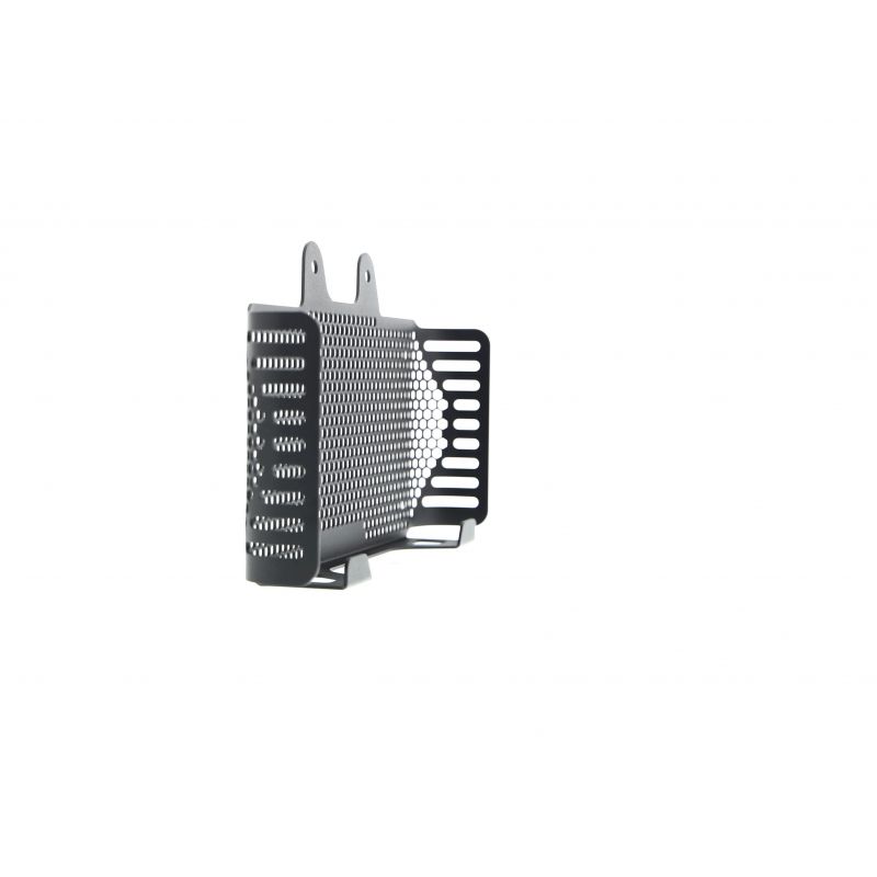 BMW R nineT 2017+ Griglia Radiatore