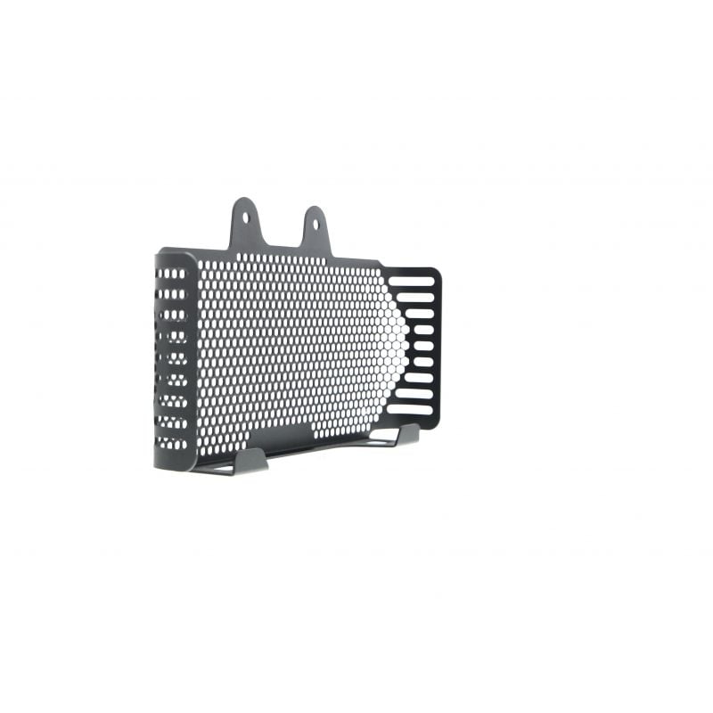 BMW R nineT 2017+ Griglia Radiatore
