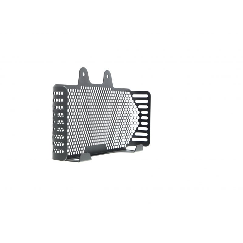 BMW R nineT 2017+ Griglia Radiatore