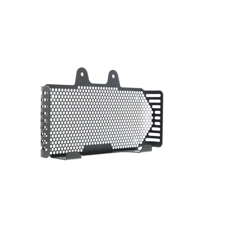 BMW R nineT 2017+ Griglia Radiatore