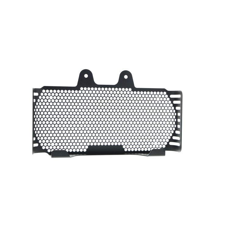 BMW R nineT 2017+ Griglia Radiatore