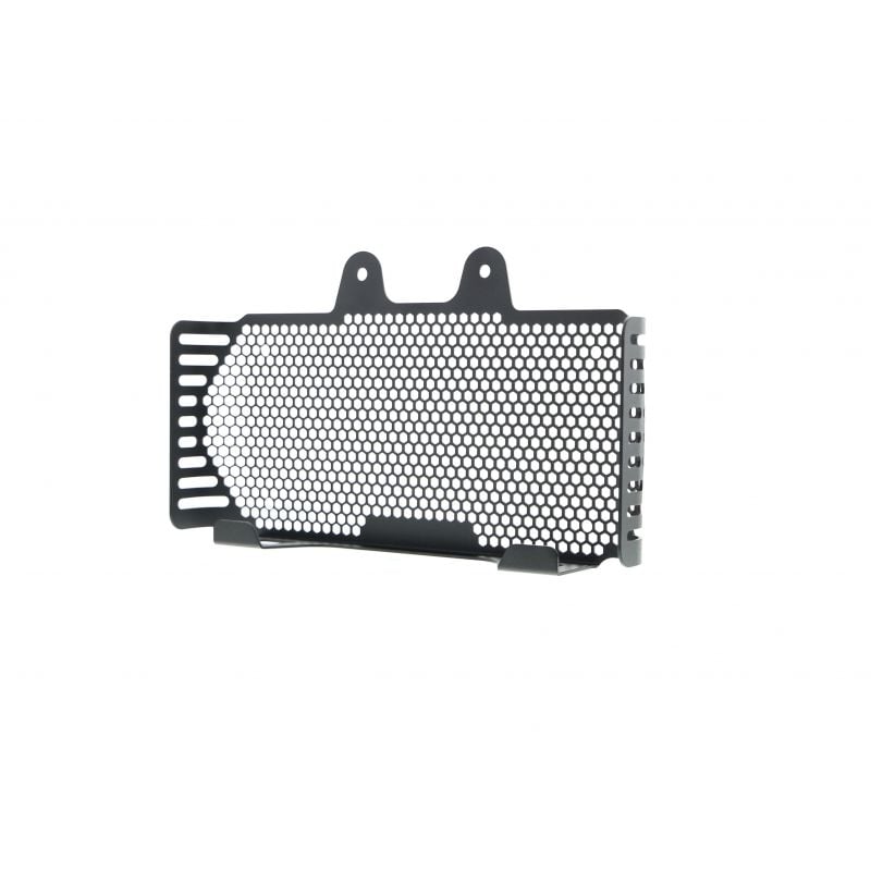 BMW R nineT 2017+ Griglia Radiatore